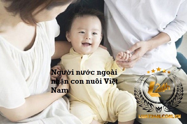 Hướng dẫn người nước ngoài nhận con nuôi Việt Nam