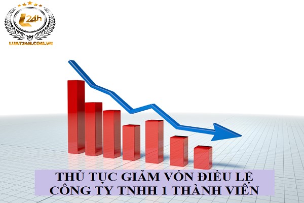 Thủ tục giảm vốn điều lệ công ty TNHH 1 thành viên