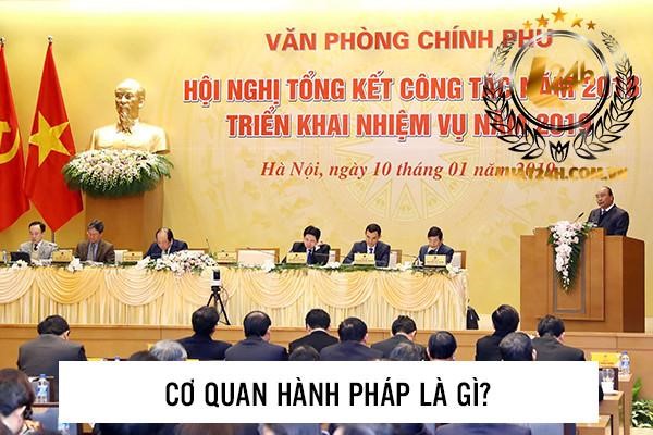 Cơ quan hành pháp tại Việt Nam là Chính phủ