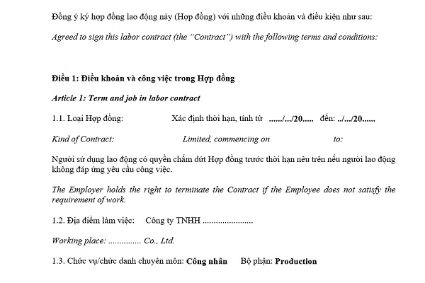 Nội dung bên trong các điều khoản của hợp đồng song ngữ Anh - Việt