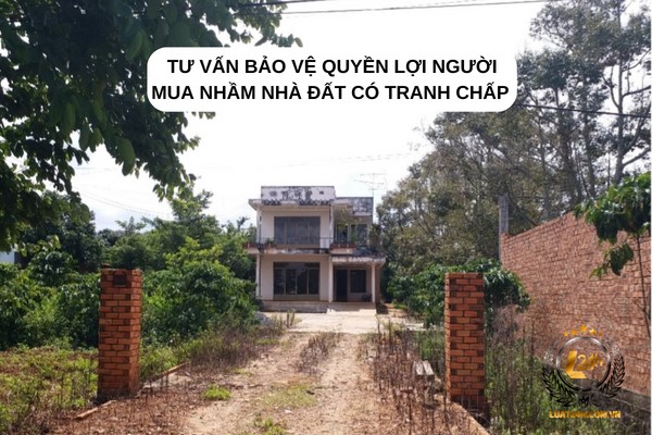 Tư vấn bảo vệ quyền lợi người mua nhầm nhà đất có tranh chấp