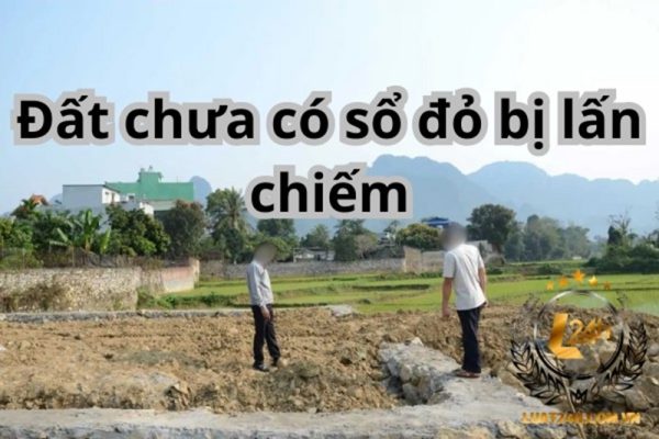 Đất chưa có sổ đỏ bị lấn chiếm phải làm sao