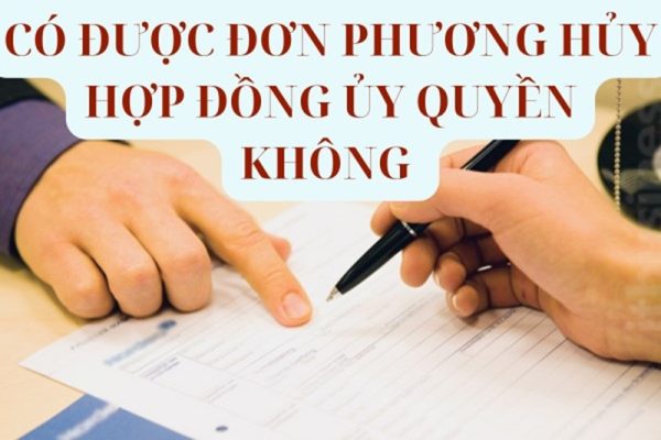 Có được đơn phương hủy hợp đồng ủy quyền